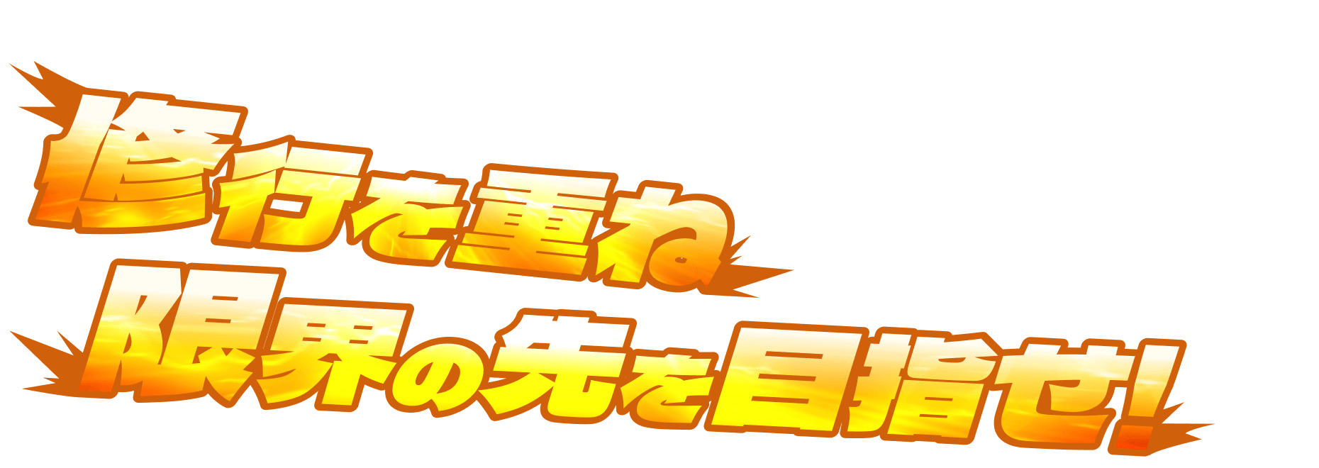 修行を重ね 限界の先を目指せ！